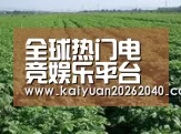 种植基地五