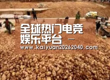 种植基地二