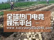 种植基地八