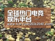 种植基地七