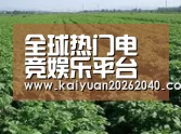 种植基地五(图1)