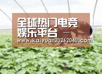 种植基地三