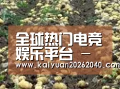 种植基地八(图1)
