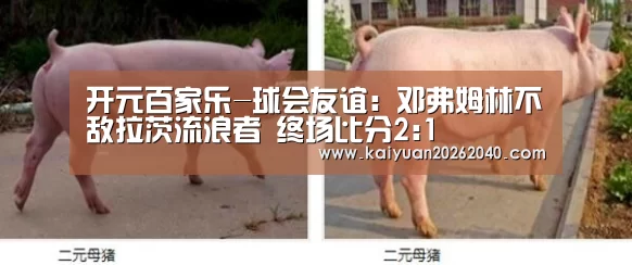 开元下载
