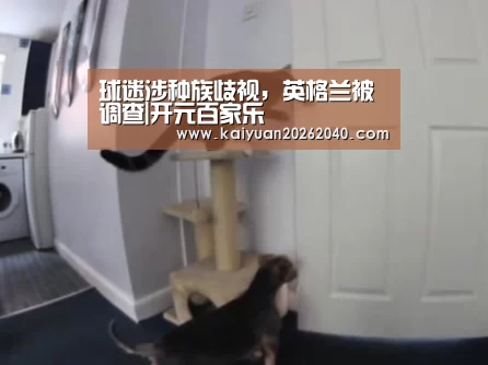 球迷涉种族歧视,英格兰被调查|开元百家乐(图2) 开元下载