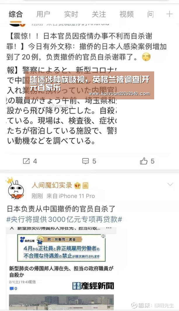 球迷涉种族歧视,英格兰被调查|开元百家乐(图1) 开元百家乐
