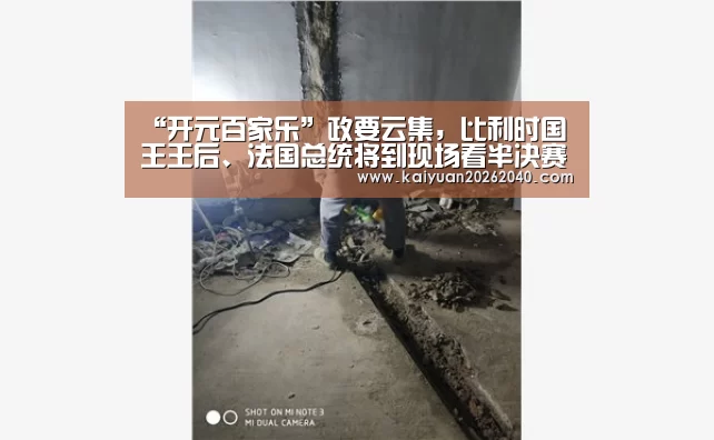 “开元百家乐”政要云集,比利时国王王后、法国总统将到现场看半决赛(图1) 开元平台