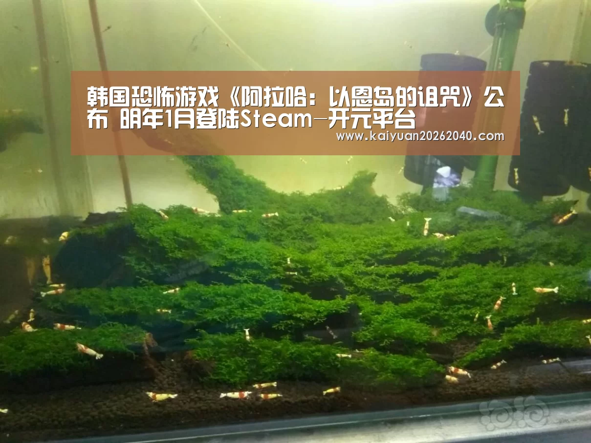 韩国恐怖游戏《阿拉哈:以恩岛的诅咒》公布 明年1月登陆Steam-开元平台(图1) 开元百家乐